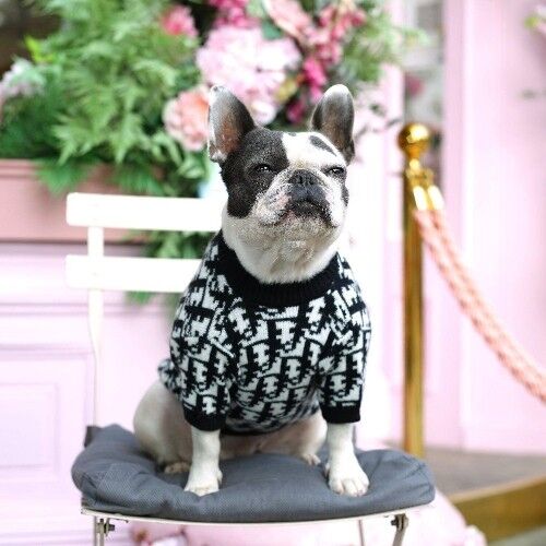 Designer dog shop clothes wholesale