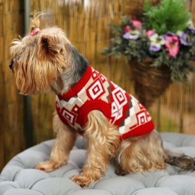 Geometric Cotton Dog Jumper