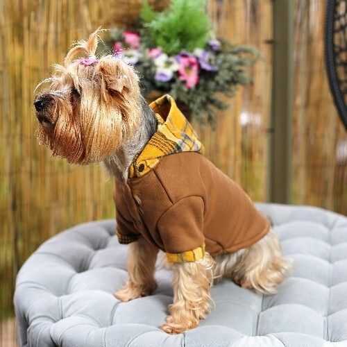 Soho Fleece Dog Hoodie