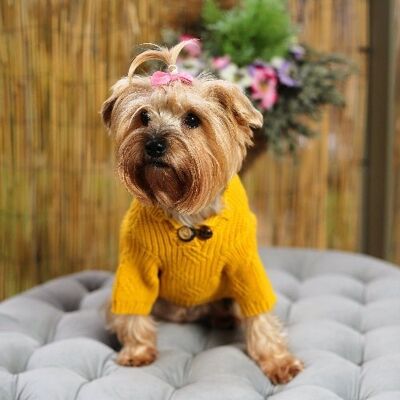 Maglione per cani in maglia senape