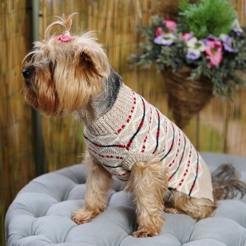 Maglione per cani di fate e fiabe