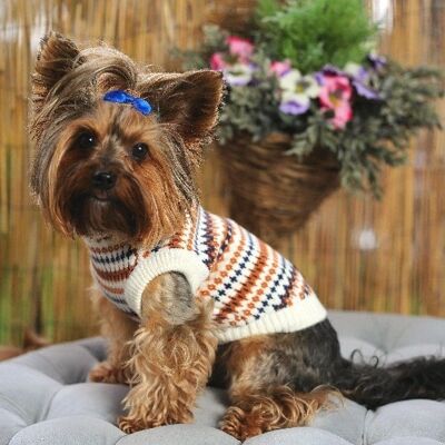 Suéter de perro estilo inglés