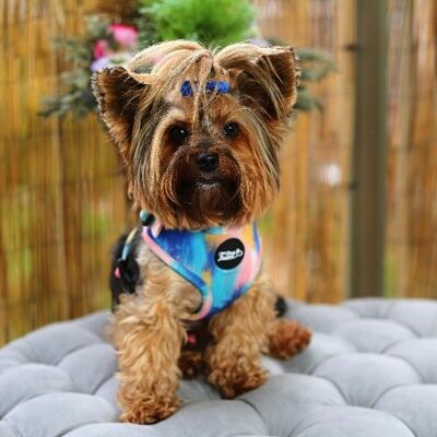 Imbracatura regolabile per gilet per cani - L'artista