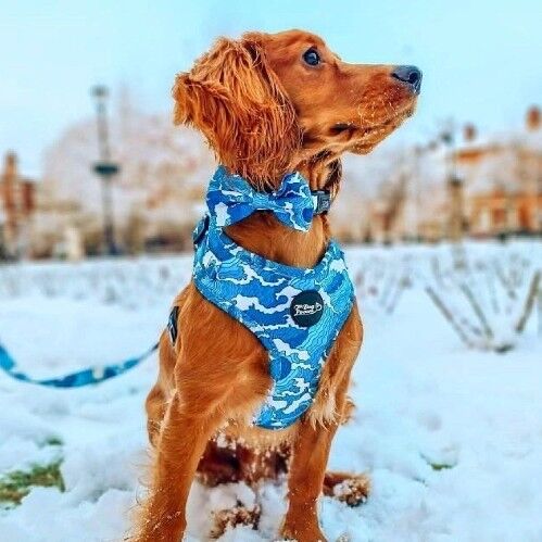 Pettorina regolabile per cani - Ocean Adventures