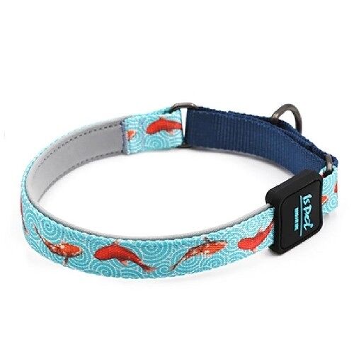 Bond For Love Lightweight Dog Collar - Fishes