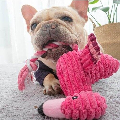 Squeaky Flamingo Plush Dog Toy