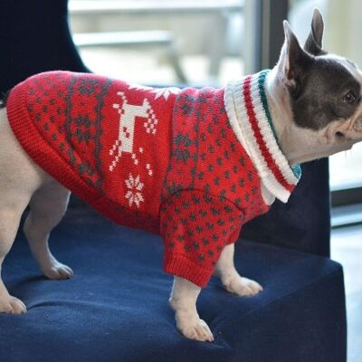 Pull de chien de Noël