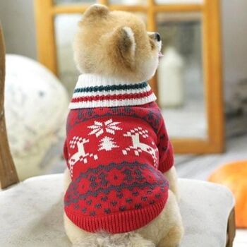 Pull de chien de Noël 3