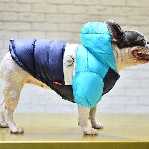Puffer Dog Jacket  - Blue