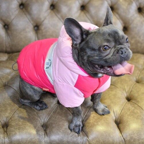 Puffer Dog Jacket  - Pink