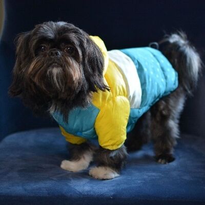 Puffer Hundejacke - Gelb&Blau