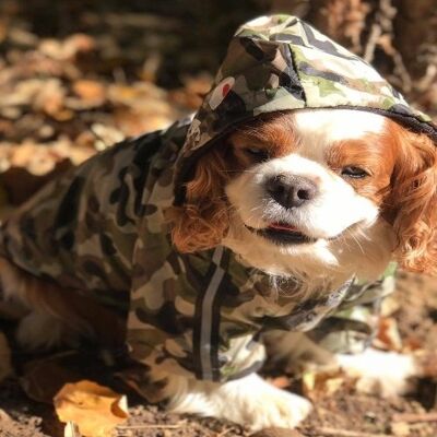 Camouflage Dog Raincoat