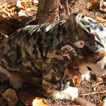 Imperméable camouflage pour chien 7