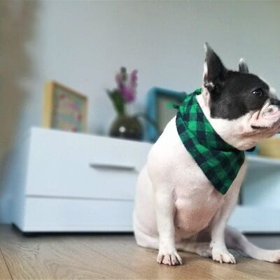 Écharpe bandana d'hiver élégante pour chien et chat - Vert