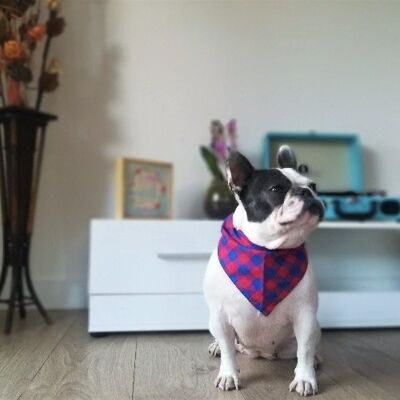 Écharpe bandana d'hiver élégante pour chien et chat - Rouge