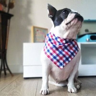Stylischer Bandana-Schal für Hunde und Katzen - Blau und Rot