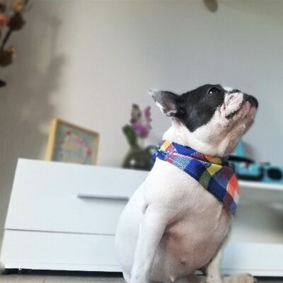 Pañuelo elegante para perros y gatos - Azul y amarillo