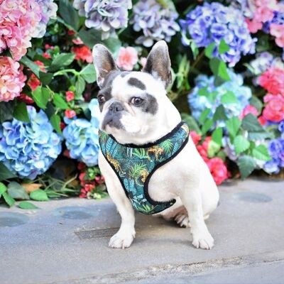 Tropical Reversible Dog Vest Harness