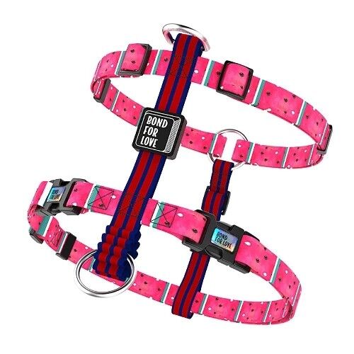 Imbracatura per cani Bond For Love - Anguria