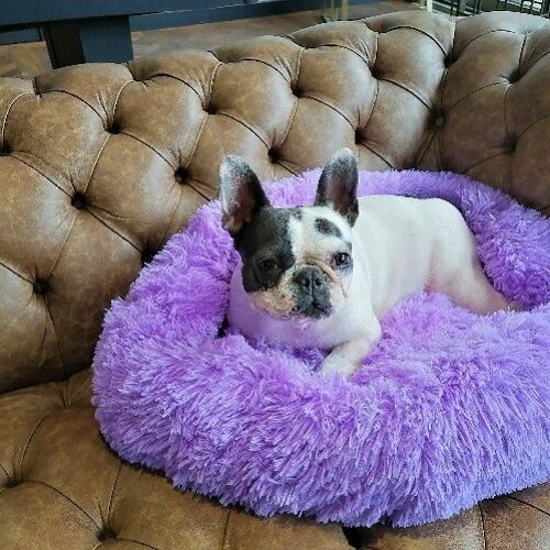 Luxury Soft Dog Donut Bed Cushion Superior Comfort - Purple mall