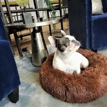 Coussin de lit Donut pour chien moelleux de luxe Confort supérieur - Coffee arge 3