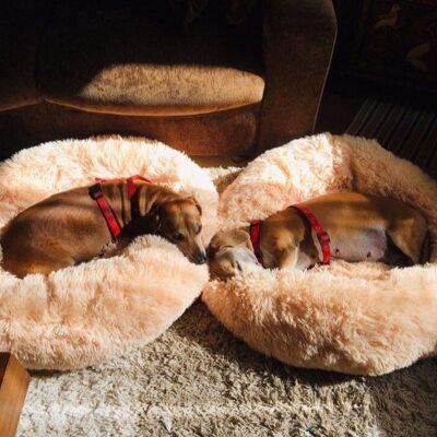 Cojín de cama de donut de perro suave de lujo Comodidad superior - centro comercial Abricot