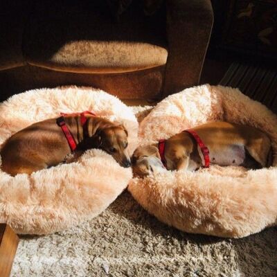 Luxury Soft Dog Donut Bed Cushion Superior Comfort - Abricot mall