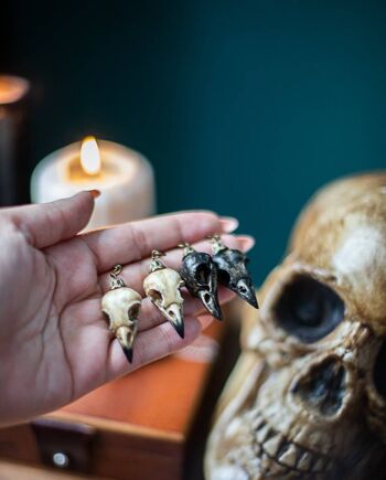 Boucles d'oreilles crâne de corbeau résine fausse taxidermie bijoux végétaliens crâne d'oiseau gothique sorcellerie décor d'Halloween 1
