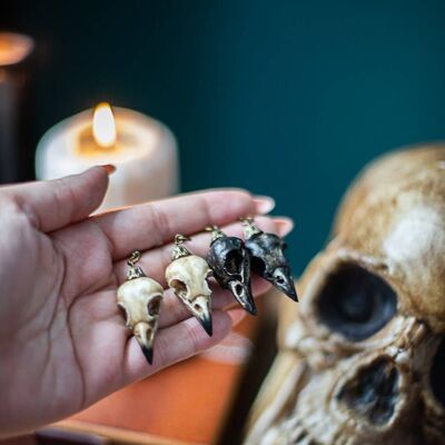 Cranio di corvo Orecchini in resina finta tassidermia gioielli vegani teschio di uccello gotico stregoneria decorazioni di Halloween