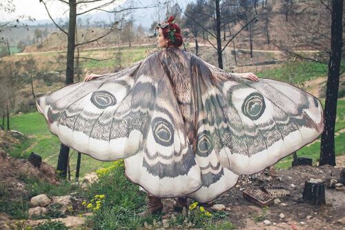Moth wings costume butterfly cape fairy wings festival clothing burning man moth costume