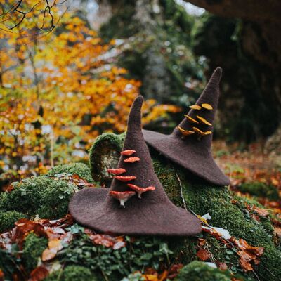 Sombrero de bruja con setas amanita muscaria sombrero de mago del bosque sombrero de fieltro lana disfraz de Halloween disfraz de bruja sombrero larp cosplay academia oscura
