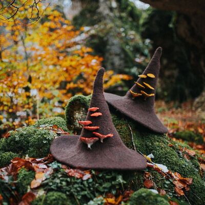 Chapeau de sorcière avec champignons amanita muscaria forêt assistant chapeau chapeau feutré laine Halloween costume sorcière costume GN chapeau cosplay dark academia