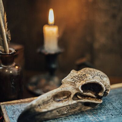 Cuervo cráneo resina taxidermia falsa decoración vegana pájaro gótico cráneo brujería decoración de Halloween
