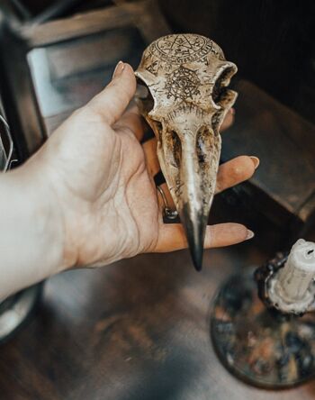 Résine de crâne de corbeau taxidermie fausse décoration végétalienne crâne d'oiseau gothique sorcellerie décor d'Halloween 2