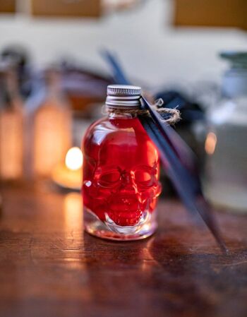 Diffuseur à roseaux tête de mort - décor à la maison - arôme halloween - bouteille en verre tête de mort 3