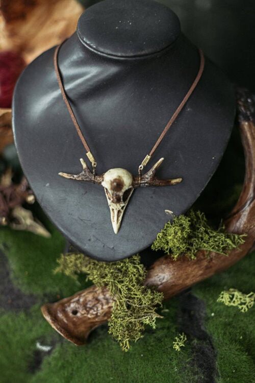 Raven Skull Necklace Witchcraft Horns Fake Taxidermy__