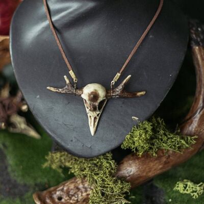Raven Skull Necklace Witchcraft Horns Fake Taxidermy__