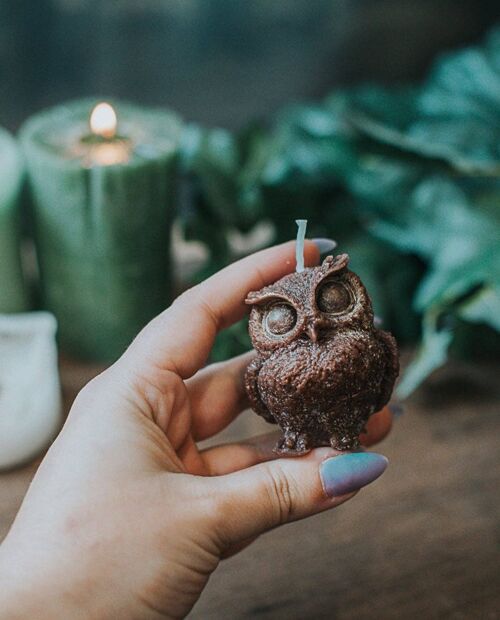 Owl Brown Candle sweet Fruits of the forest scent