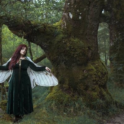 Fairy Wings Cicada grüner weißer Umhang Dark Crystal Kostüm__