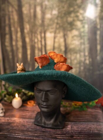 Champignons chapeau de sorcière forêt Squirrell magicien de la forêt Halloween 4