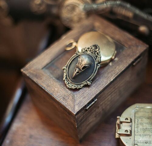 Bronze raven skull brooch cameo taxidermy gothic victorian__