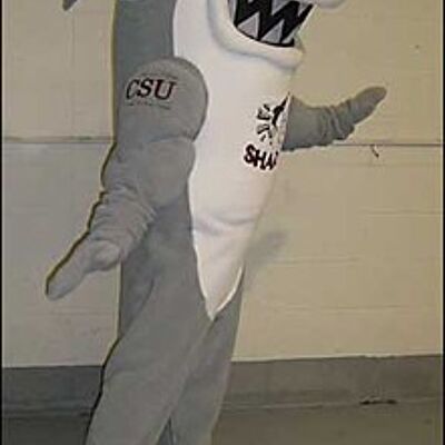 Brown seal spotsound Mascot Costume with small two tusk coming from his mouth side .