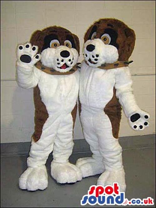 Brown and black tiger spotsound Mascot Costume with his paws showing .