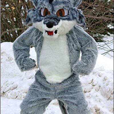 Fox bunny spotsound Mascot Costume in red t-shirt and yellow shorts and red cap .