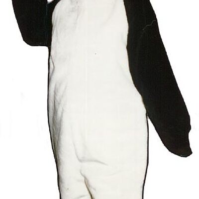 Tall Zebra spotsound Mascot Costume with large white teeth, open mouth and tail .
