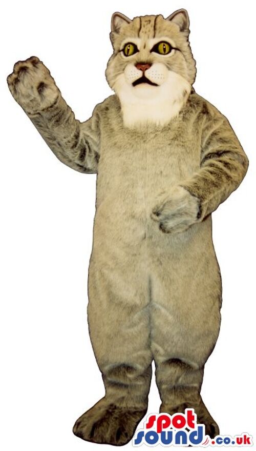 Cuddly soft lion spotsound Mascot Costume with fluffy brown mane and black eyes .