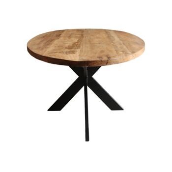 Table de salle à manger Oval Mango 200x110cm avec Spider Leg Narrow 200x110cm 210 2