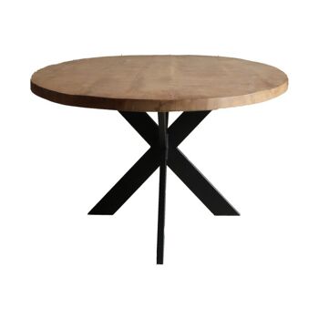 Table de salle à manger Oval Mango NF 200x110cm avec Spider Leg Narrow 220x110cm 231 2
