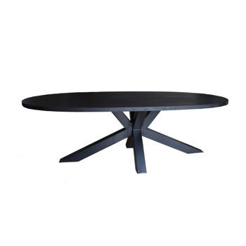 Table à manger Ovale Large Chêne Noir 200x110cm Pied Araignée 200x110cm 240 1