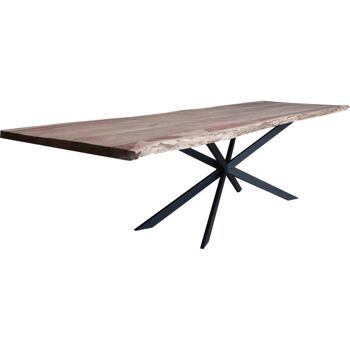 Table tronc d'arbre Bois d'acacia 200x100cm avec pied Mikado Bois d'acacia 200x100cm 396 1